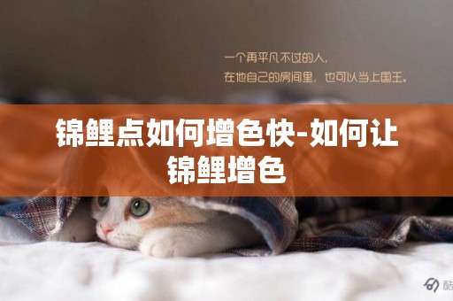 錦鯉點如何增色快-如何讓錦鯉增色