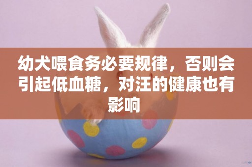 幼犬喂食務必要規律，否則會引起低血糖，對汪的健康也有影響 