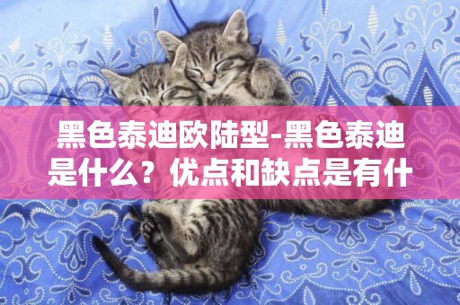 黑色泰迪歐陸型-黑色泰迪是什么？優點和缺點是有什么？