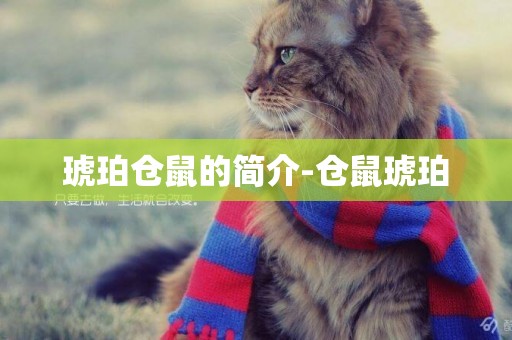 琥珀倉鼠的簡介-倉鼠琥珀