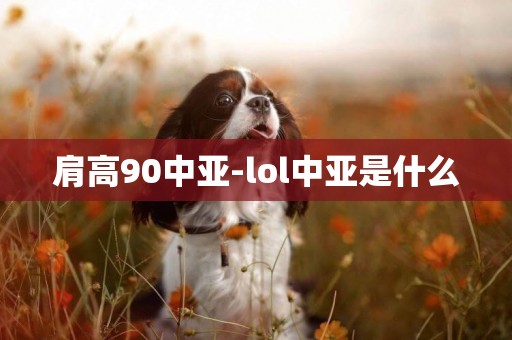 肩高90中亞-lol中亞是什么