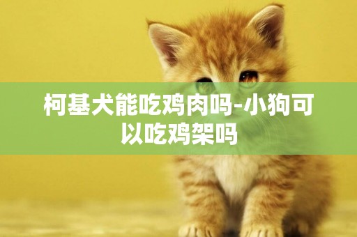 柯基犬能吃雞肉嗎-小狗可以吃雞架嗎