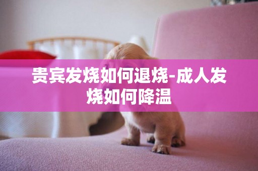 貴賓發燒如何退燒-成人發燒如何降溫