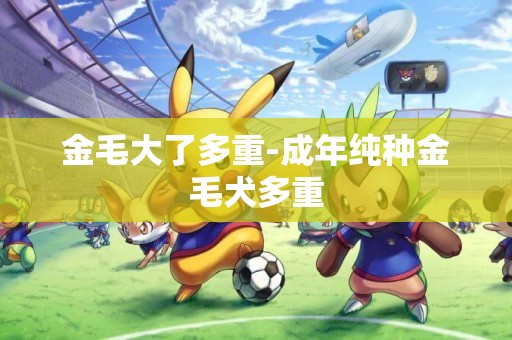 金毛大了多重-成年純種金毛犬多重