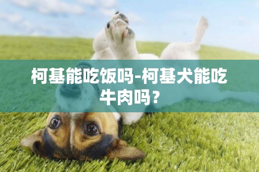 柯基能吃飯嗎-柯基犬能吃牛肉嗎？
