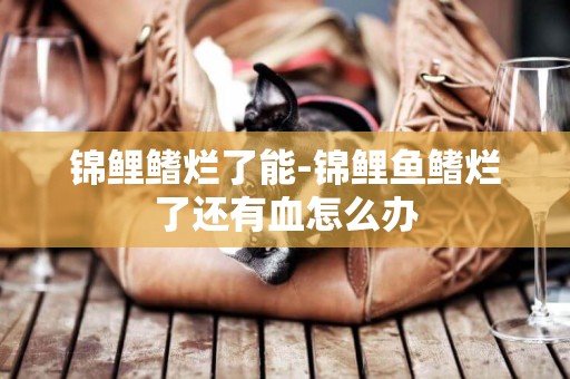 錦鯉鰭爛了能-錦鯉魚鰭爛了還有血怎么辦