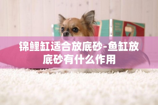 錦鯉缸適合放底砂-魚缸放底砂有什么作用