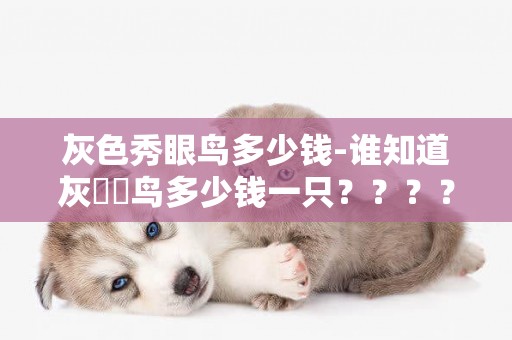 灰色秀眼鳥多少錢-誰知道灰鹡鸰鳥多少錢一只？？？？