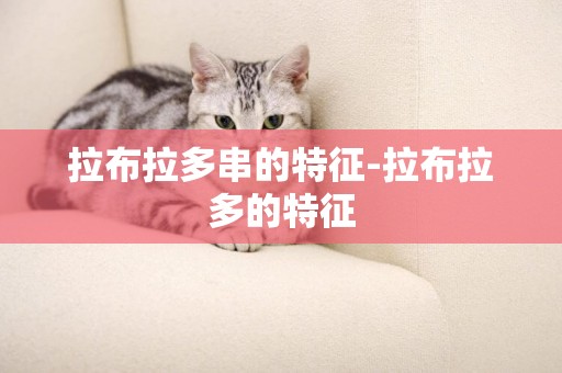 拉布拉多串的特征-拉布拉多的特征