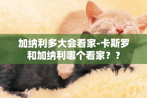 加納利多大會看家-卡斯羅和加納利哪個看家？？