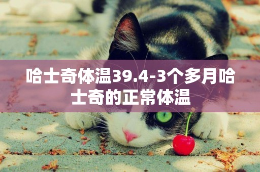 哈士奇體溫39.4-3個多月哈士奇的正常體溫