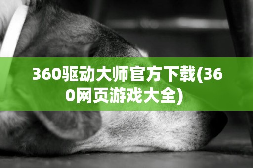 360驅動大師官方下載(360網頁游戲大全) 