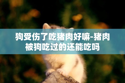 狗受傷了吃豬肉好嘛-豬肉被狗吃過的還能吃嗎