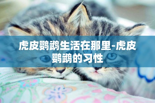 虎皮鸚鵡生活在那里-虎皮鸚鵡的習性