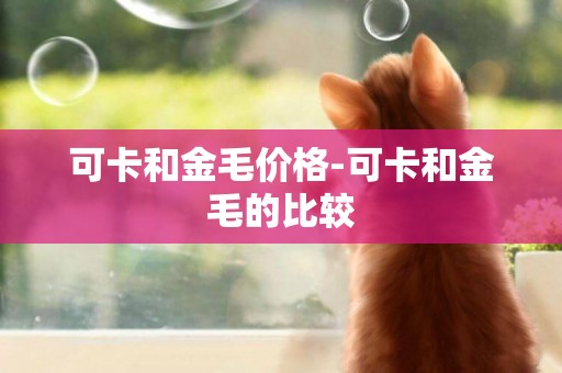 可卡和金毛價格-可卡和金毛的比較