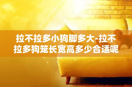 拉不拉多小狗腳多大-拉不拉多狗籠長寬高多少合適呢？
