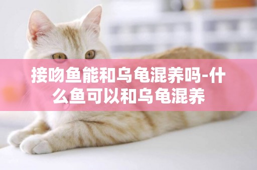 接吻魚能和烏龜混養嗎-什么魚可以和烏龜混養