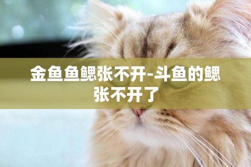 金魚魚鰓張不開-斗魚的鰓張不開了