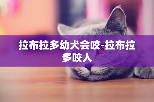 拉布拉多幼犬會咬-拉布拉多咬人