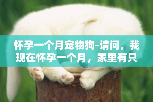 懷孕一個月寵物狗-請問，我現在懷孕一個月，家里有只狗經常半夜凌晨突然叫 特別大聲那種？