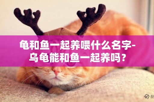 龜和魚一起養喂什么名字-烏龜能和魚一起養嗎？