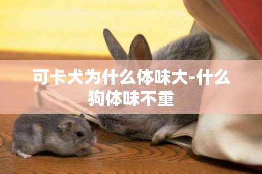 可卡犬為什么體味大-什么狗體味不重