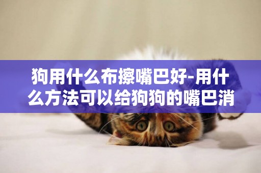 狗用什么布擦嘴巴好-用什么方法可以給狗狗的嘴巴消毒呢？