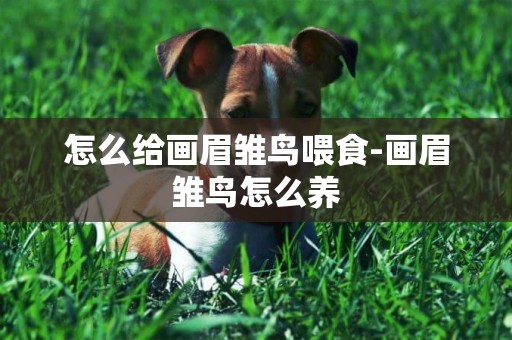 怎么給畫眉雛鳥喂食-畫眉雛鳥怎么養