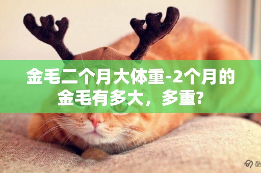 金毛二個月大體重-2個月的金毛有多大，多重?