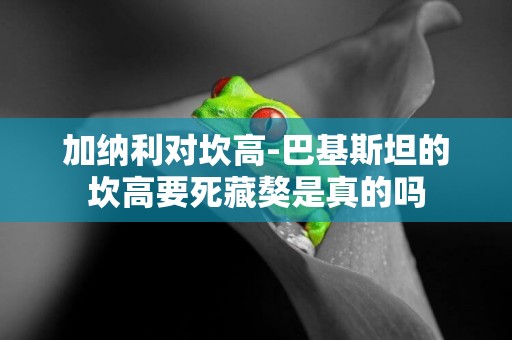加納利對坎高-巴基斯坦的坎高要死藏獒是真的嗎