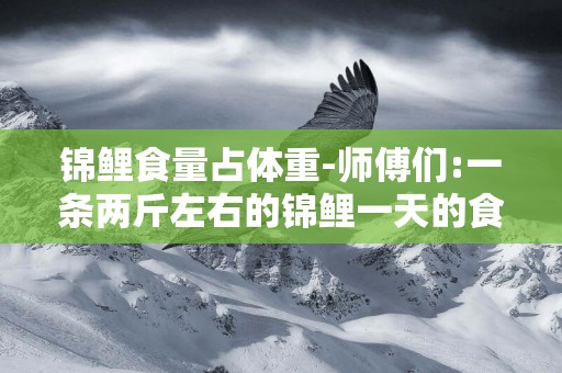 錦鯉食量占體重-師傅們:一條兩斤左右的錦鯉一天的食量是多少？……謝謝