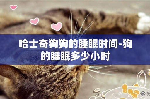 哈士奇狗狗的睡眠時間-狗的睡眠多少小時
