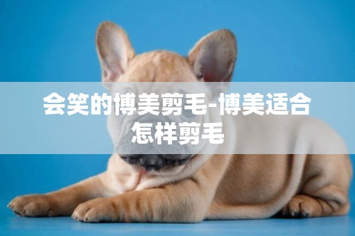 會笑的博美剪毛-博美適合怎樣剪毛