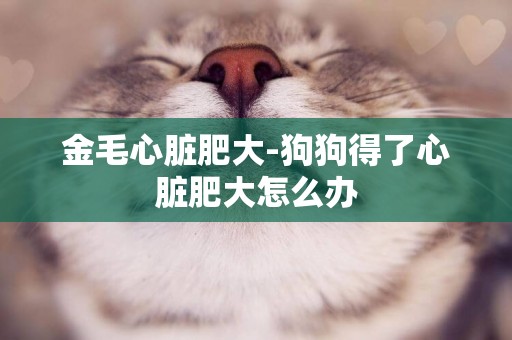 金毛心臟肥大-狗狗得了心臟肥大怎么辦