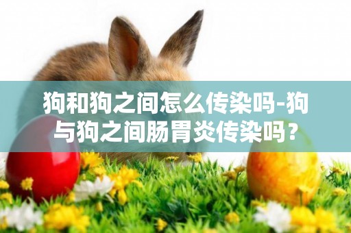 狗和狗之間怎么傳染嗎-狗與狗之間腸胃炎傳染嗎？