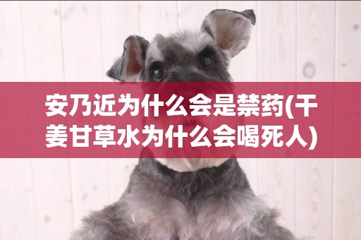 安乃近為什么會是禁藥(干姜甘草水為什么會喝死人) 