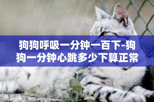 狗狗呼吸一分鐘一百下-狗狗一分鐘心跳多少下算正常？