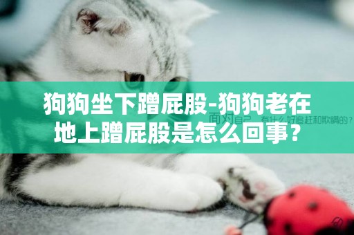 狗狗坐下蹭屁股-狗狗老在地上蹭屁股是怎么回事？