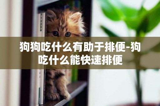 狗狗吃什么有助于排便-狗吃什么能快速排便