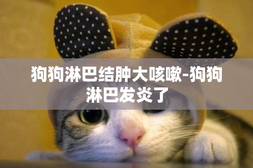 狗狗淋巴結腫大咳嗽-狗狗淋巴發炎了