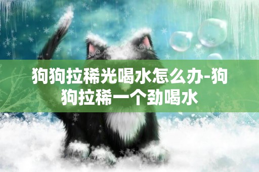 狗狗拉稀光喝水怎么辦-狗狗拉稀一個勁喝水
