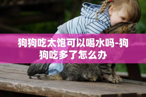 狗狗吃太飽可以喝水嗎-狗狗吃多了怎么辦