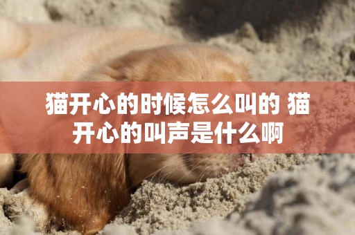 貓開心的時候怎么叫的 貓開心的叫聲是什么啊