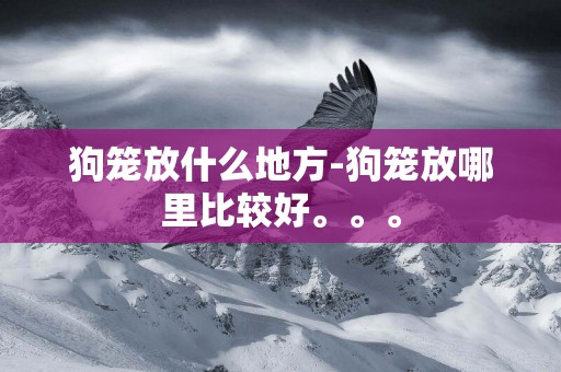 狗籠放什么地方-狗籠放哪里比較好。。。