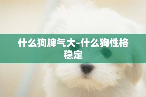 什么狗脾氣大-什么狗性格穩定