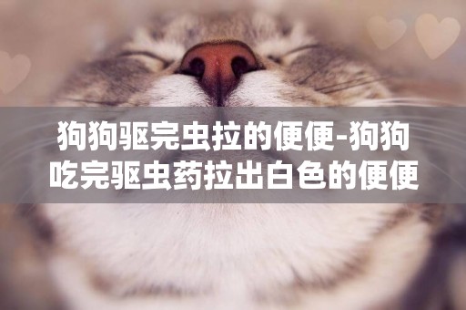 狗狗驅完蟲拉的便便-狗狗吃完驅蟲藥拉出白色的便便