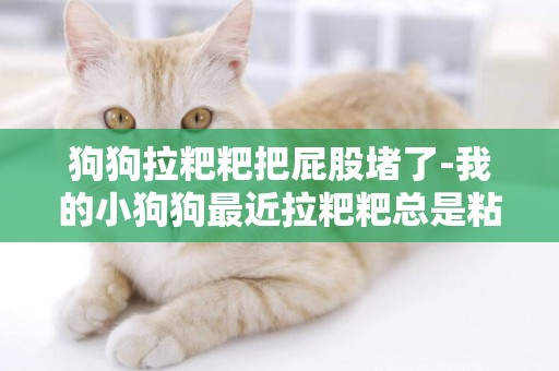 狗狗拉粑粑把屁股堵了-我的小狗狗最近拉粑粑總是粘在屁股上是怎么回事？