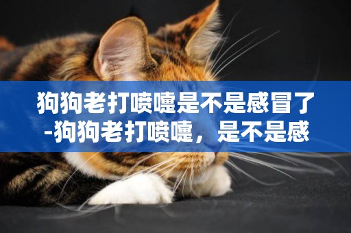 狗狗老打噴嚏是不是感冒了-狗狗老打噴嚏，是不是感冒