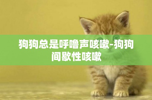 狗狗總是呼嚕聲咳嗽-狗狗間歇性咳嗽