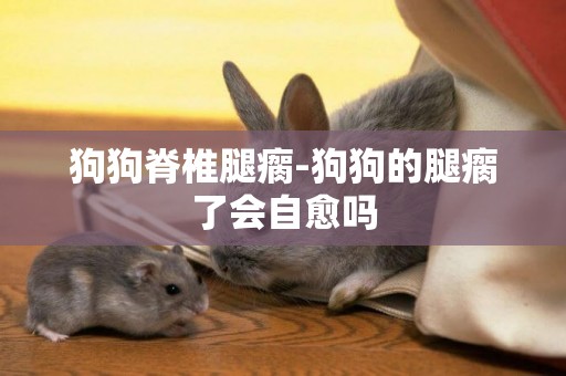狗狗脊椎腿瘸-狗狗的腿瘸了會自愈嗎